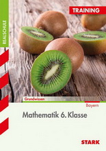 Mathe Übungsaufgaben mit Lösungen. STARK VERLAG